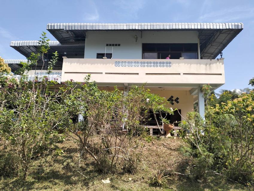 ที่ดินติดทะเล (บ้านพร้อมที่ดิน) อ.บางสะพาน จ.ประจวบคีรีขันธ์ 3