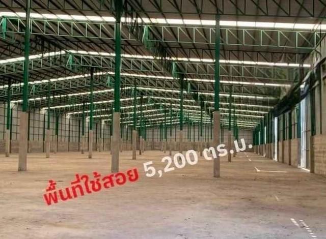 ให้เช่าคลังสินค้าบางปะกงฉะเชิงเทรา พื้นที่ขนาด 5,200 ตร.ม.พื้นที่สีม่วง ใกล้อมตะนคร 15 ก.ม. 1