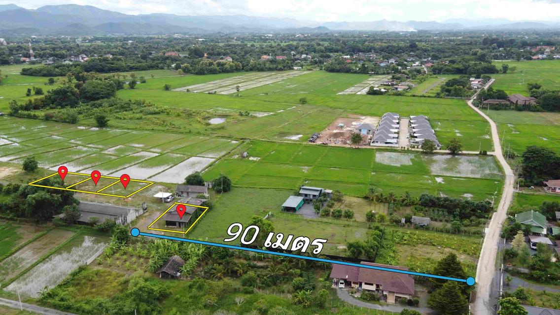 ขายที่ดิน 100 - 112 ตร.ว. จำนวน 4 แปลง (ถมแล้ว วิวดอยและทุ่งนา บ้านสันโค้ง) 3