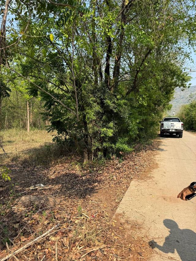 ที่ดินเปล่าภูเขียว 6 ไร่ 2