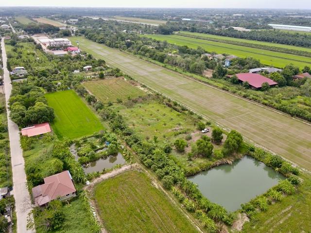 ขายที่ดินหนองเสือ 1 ไร่ คลอง8 หลังอบต.บึงบอน ใกล้ถนนเส้น3221-500เมตร บึงบอน ปทุมธานี 8