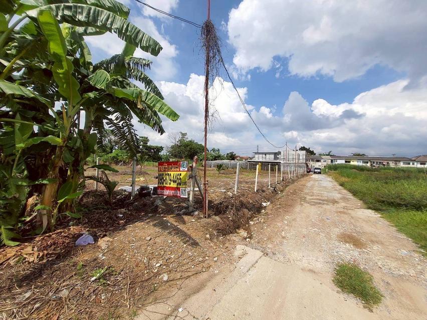 ขายด่วน ที่ดินพุทธมณฑลสายสาม 360 ตารางวา ถมแล้วทั้งแปลง ซอย 19 แยก 6-12 เขตทวีวัฒนา กทม.