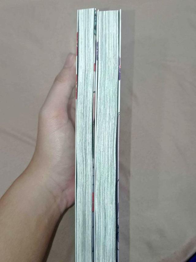 โล๊ะหนังสือมังงะ 4