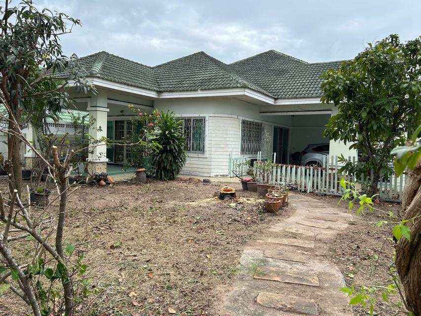 บ้านเดี่ยวหมู่บ้านชาลิตา 2 บางละมุง ชลบุรี เนือ้ที่ 142 ตรว. 2