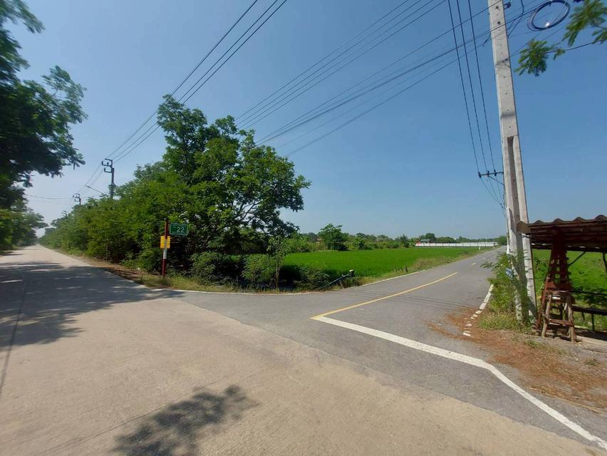 ขายที่ดินเปล่า ซอยเคหะการเกษตร2 ไทรน้อย นนทบุรี 5