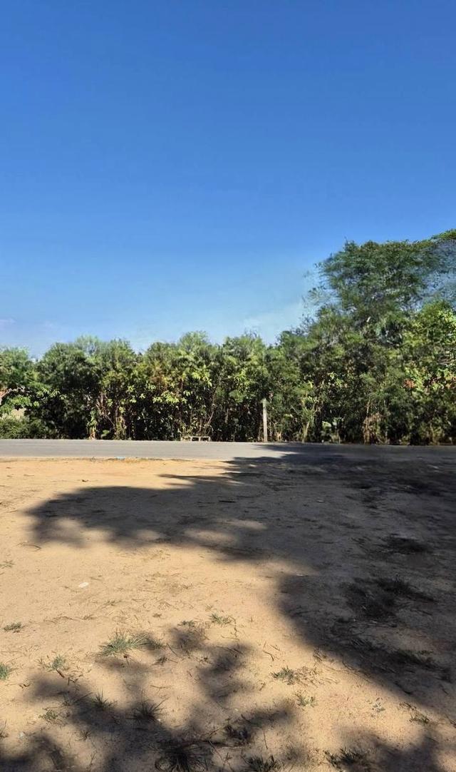 🌈ขายที่ดินภูเก็ต ติดทะเล 3 งาน 88.1 ตร.ว. เกาะสิเหร่ ต.รัษฎา อ.เมืองภูเก็ต จ.ภูเก็ต🌈 1