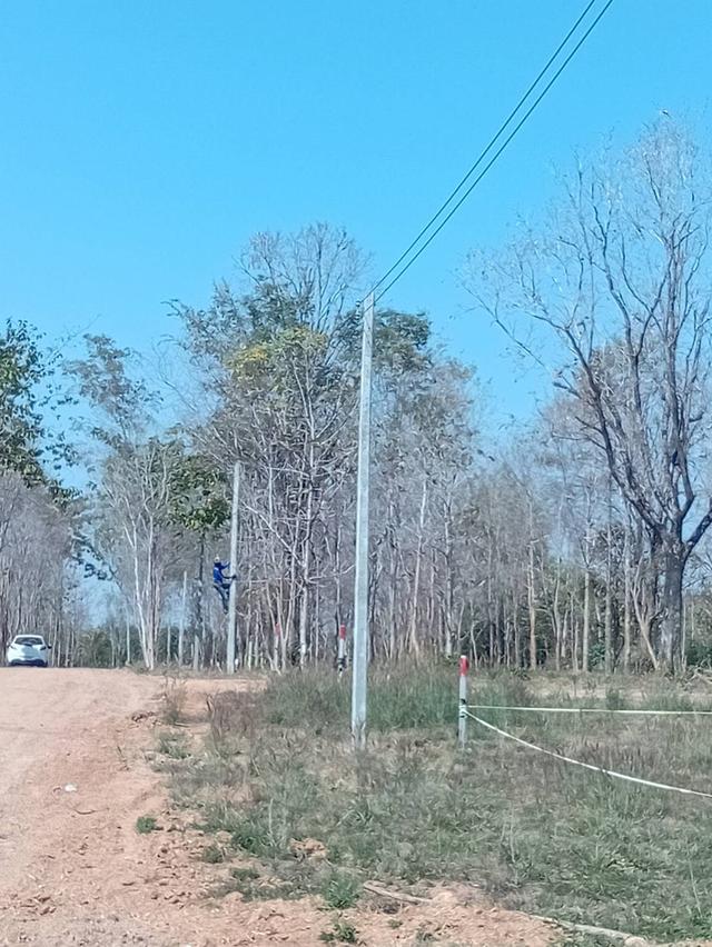 ที่ดินแปลงย่อยแบ่งขายจังหวัดหนองบัวลำภู ใกล้ศูนย์ราชการ วิวภูเขา น้ำไม่ท่วม ขนาด 100 ตารางวา+ 7