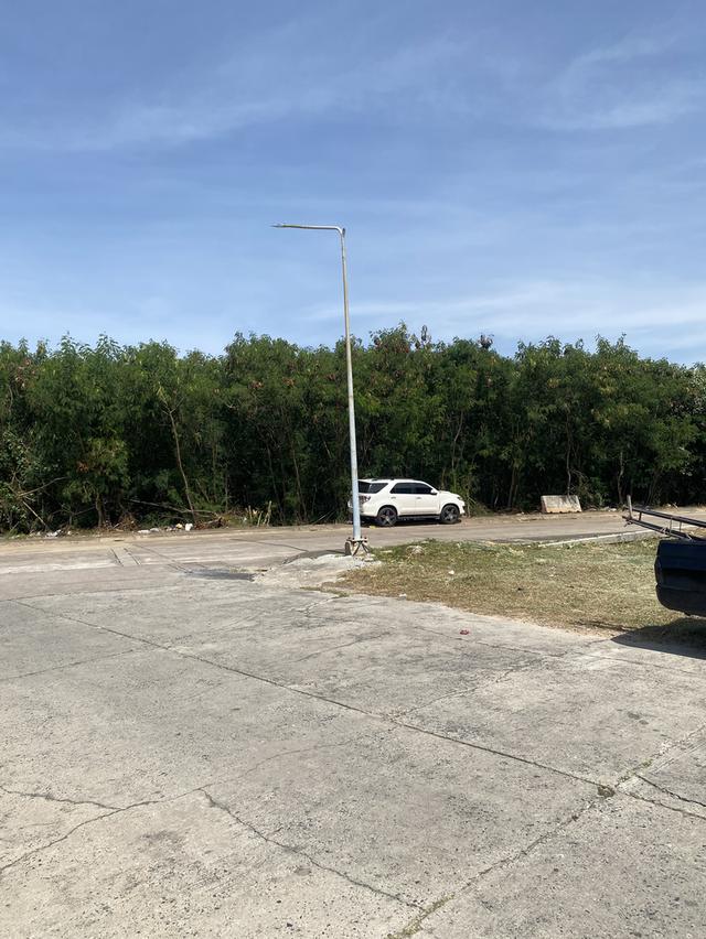 ขายที่ดิน ใกล้โรงพยาบาลศูนย์มะเร็ง ชลบุรี ติดถนน 2 ฝั่ง 7