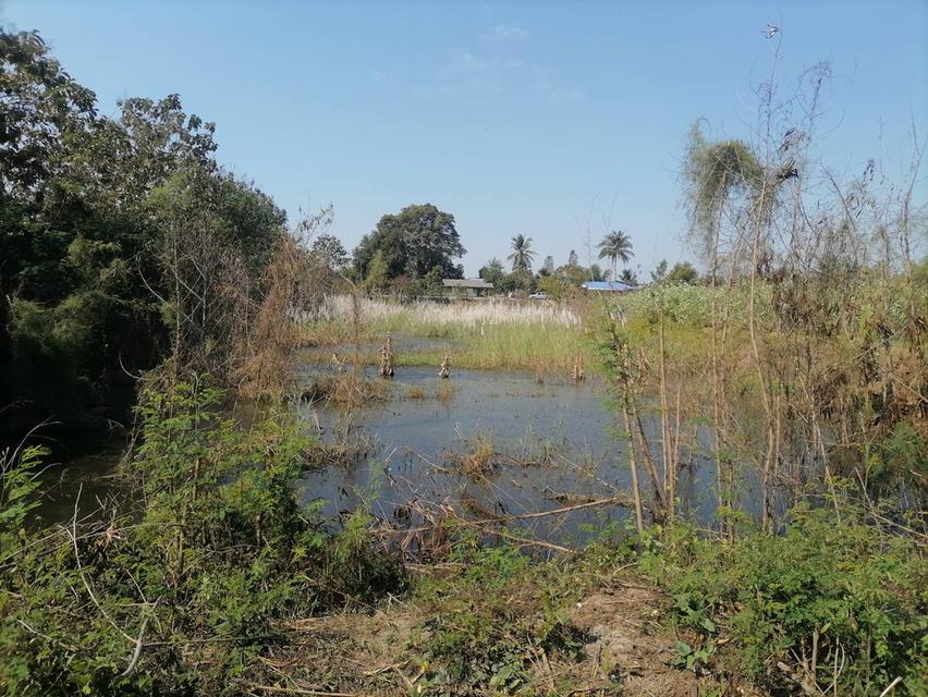 ที่ดินในจังหวัดสุพรรณบุรี 3