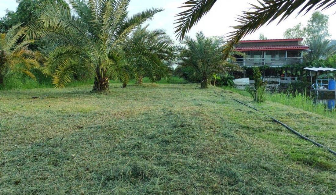 ขายที่ดิน อ.บ้านโป่ง  จ. ราชบุรี 6 ไร่ พร้อมบ้าน 3 หลัง  2