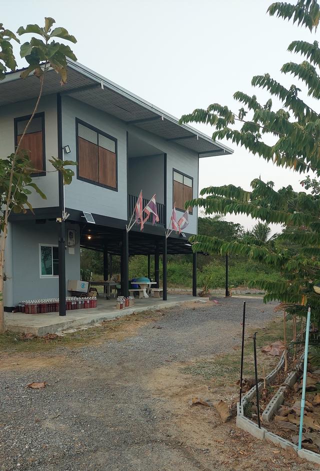 ที่ดินสองไร่พร้อมบ้านสวน 15