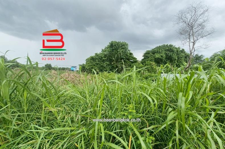 ที่ดินเปล่า ซอยเทพกุญชร 36 (คลอง 1) เนื้อที่ 100 ตรว. ใกล้ตลาดไท ถ.พหลโยธิน ต.คลองหนึ่ง อ.คลองหลวง จ.ปทุมธานี 8