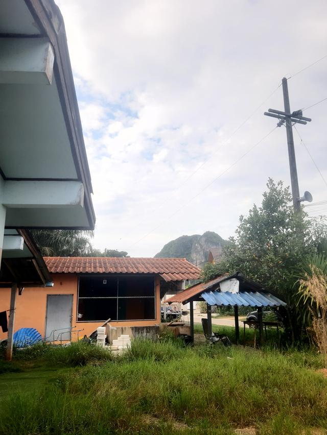 [หลุดจอง สนใจลองทักมา] ขายบ้านพร้อมที่ดินจังหวัดพัทลุงอำเภอเมืองทำเลสวยวิวดี เนื้อที่เกือบ 1 ไร่ 3