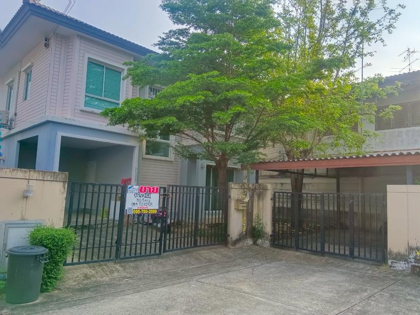 ขายบ้านมือสอง หมู่บ้านพฤกษา 24 ซีนเนอร์รี่ รังสิต-คลอง 2 1