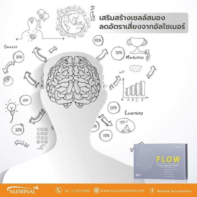 FLOW 3