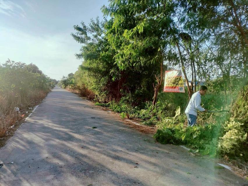 ขายถูกที่ดินใกล้วัดธรรมกาย 204  ตรว ติดถนนคอนกรีตสาธารณะ ซ.คลองสาม 10/15 อ.คลองหลวง จ.ปทุมธานี 8