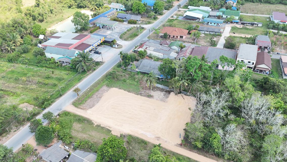 ที่ดินเปล่า 200 ตารางวา 4