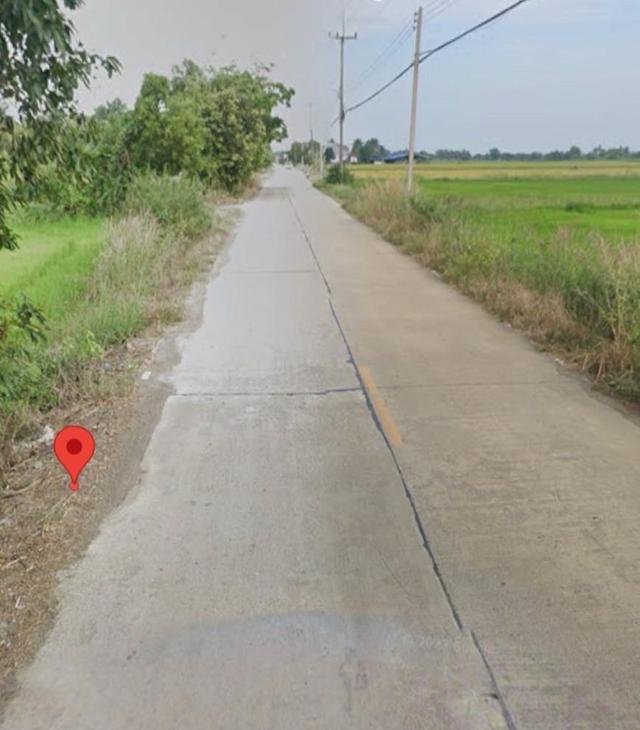ขายที่นา 100 ไร่ ตำบลหมอนทอง อำเภอบางน้ำเปรี้ยว จังหวัดฉะเชิงเทรา 5
