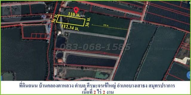 ขายถูกที่ดินถนนคลองตาหลวง-วัดศรีวารีน้อย (เนื้อที่ 2-2-0 ไร่ ขายไร่ละ 3.5 ล้าน) ต.ศีรษะจรเข้ใหญ่ อ. บางเสาธง สมุทรปราการ 