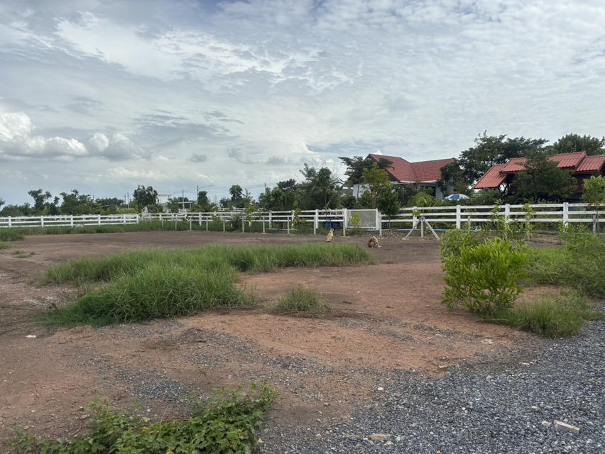 ขายที่ดินจัดสรร คลอง 13 ถนนเลียบคลอง 33 ตำบลศาลาครุ อำเภอหนองเสือ ปทุมธานี 6