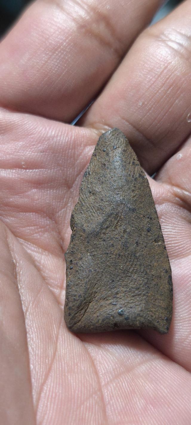 พระเลี่ยง ลำพูนเนื้อเขียว 2