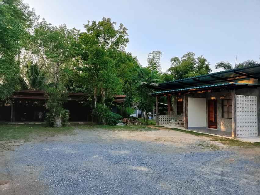 บ้านพร้อมที่ดินขนาด1ไร่ 37ตรว บ้าน4ก้องนอน4ห้องน้ำ พื้นทีจอดรถได้หลายคัน พร้อมทั้งสวนผลไม้ 8