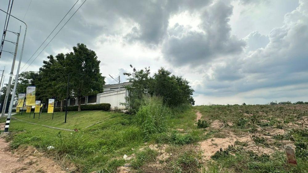 ที่ดินศักยภาพสูง(ติดถนน) นิคมอมตะ ระยอง ทำเลทอง 12-1-35 ไร่ 5