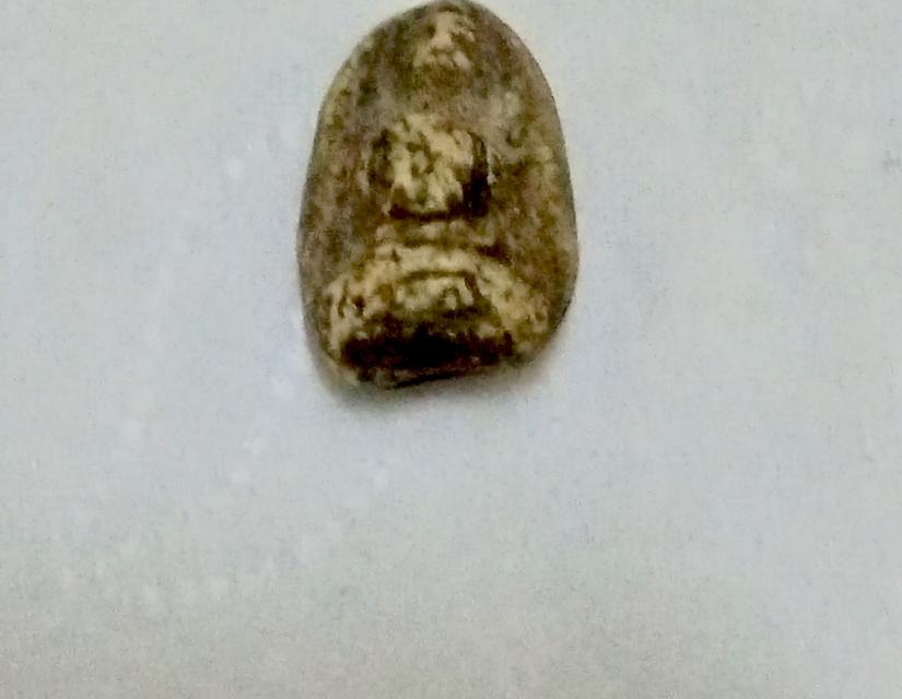 พระกรุวัดพลับ