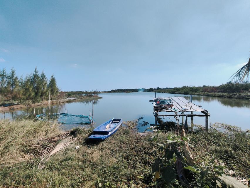 ที่ดินบ่อกุ้ง6ไร่จังหวัดสมุทรสาคร 3