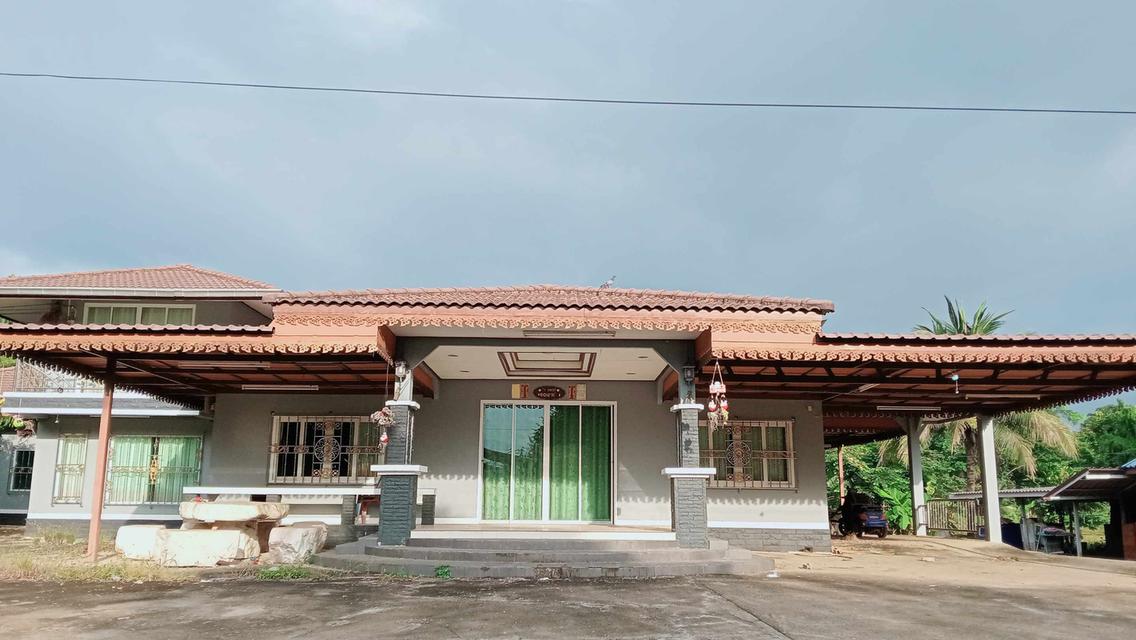 ขายบ้านพร้อมที่ดิน 1