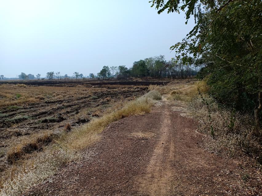 ที่ดินโฉนด(ที่นา) ตำบลทับคล้อ อำเภอทับคล้อ จังหวัดพิจิตร เนื้อที่ 49-2-87ไร่