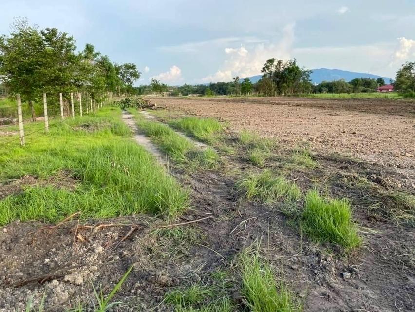ที่ดินแปลงสวย ชลบุรี วิวภูเขา 4