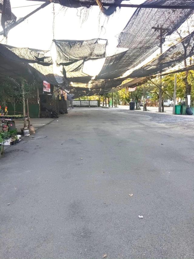 ขายที่ดินแปลงใหญ่ ใกล้ตลาดคลองลัดมะยม เหมาะพัฒนาโครงการที่อยู่อาศัยและเชิงพาณิชย์ 4