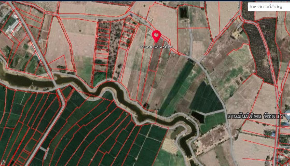 ขายที่ดินเปล่า ทำเลดี ติดถนนปูน ไฟฟ้าถึง จังหวัดสุพรรณบุรี 14