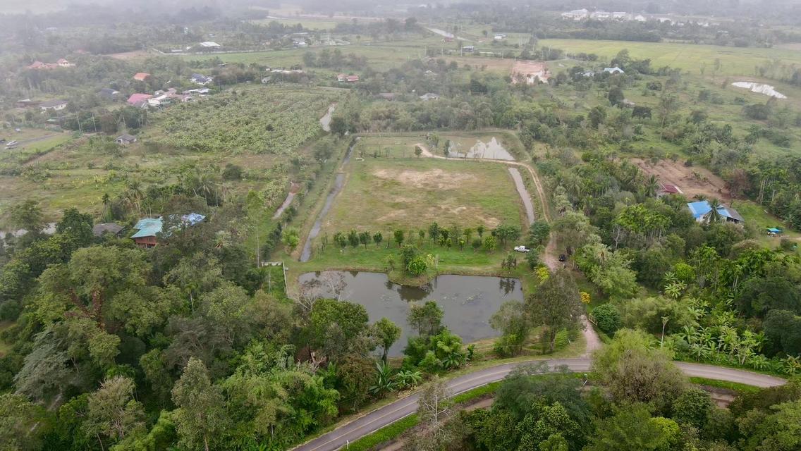 ขายที่ใกล้เขื่อนขุนด่านปราการชล วิวเขาใหญ่ 2