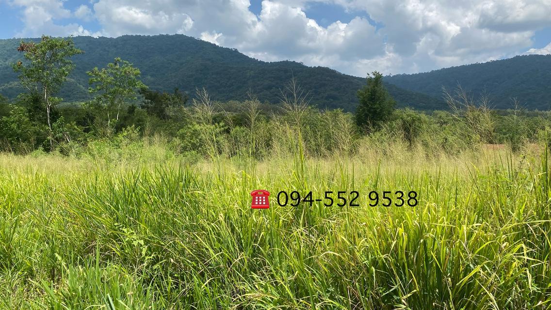 ขายที่ดินโป่งตาลอง ใกล้ชา โต้ เขาใหญ่ 4ไร่ ที่สูง วิวเขาใหญ่ ติดถนนลาดยาง