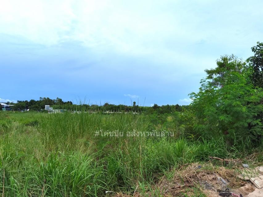 ขาย ที่ดิน ถูกสุดในย่านนี้ ME375 EECม่วงลาย ติดถนนบูรพาพัฒน์ บ้านฉาง ระยอง . 12 ไร่ 1 งาน 29 ตรว ใกล้ท่าเรือมาบตาพุด นิค