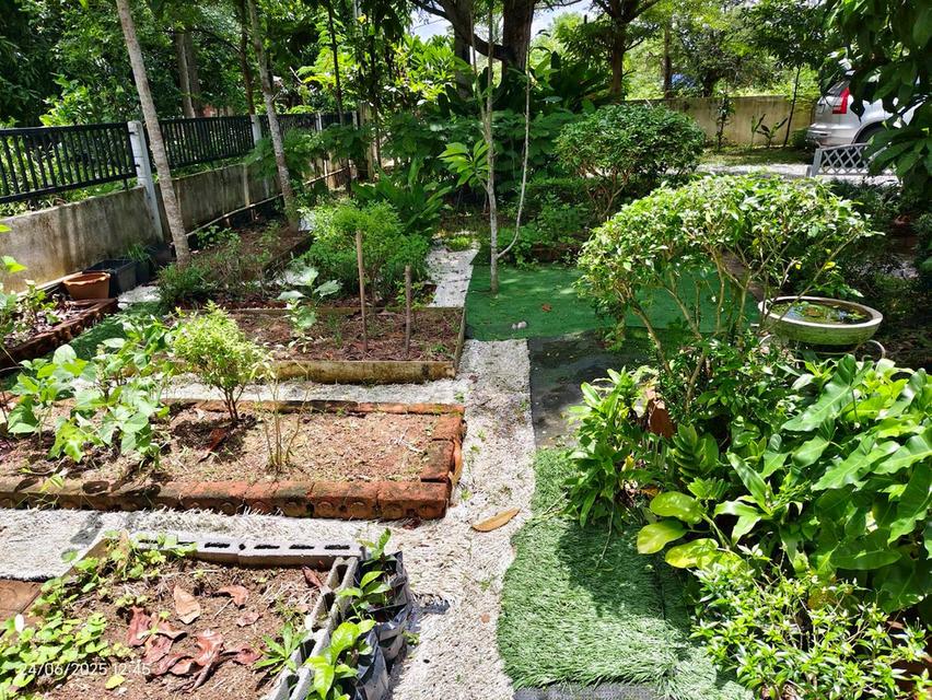 บ้านสวนในฝัน…กลางเมืองสระแก้ว 15