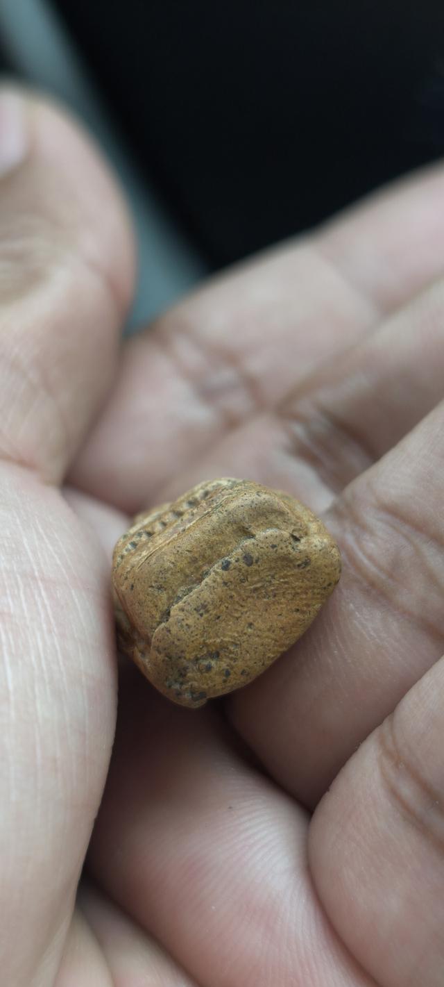 พระคงลำพูน 7