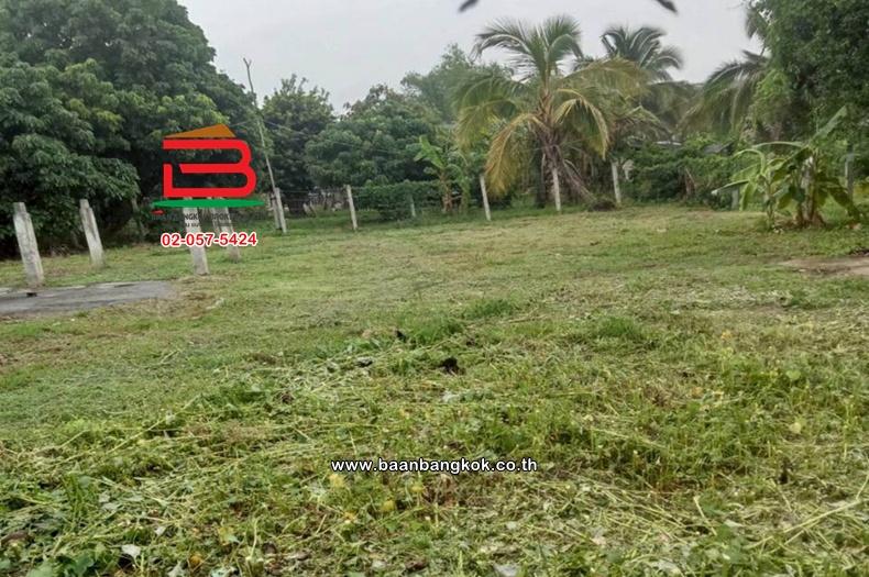 ที่ดินเปล่า  9