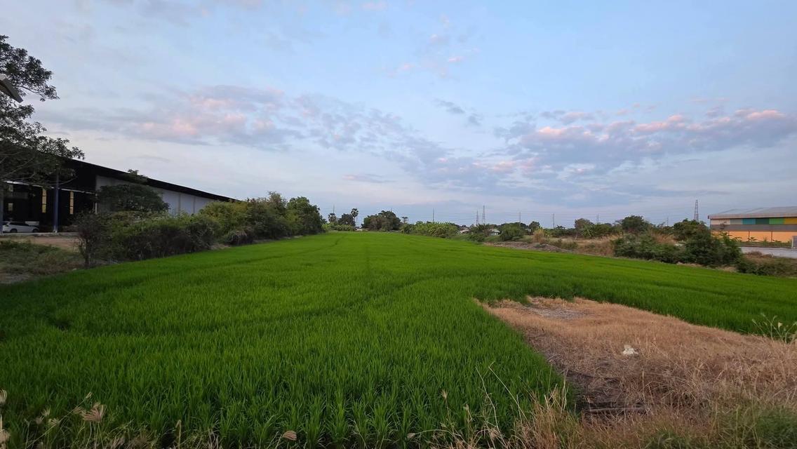 ขายที่ดินติดถนนใหญ่ หลังติดคลอง 6ไร่2งาน อำเภอบางบ่อ ตำบล เปร็ง  ภาษีค่าโอนจ่ายให้หมด เตรียมเงินมาซื้ออย่างเดียวครับ  Land for sale, located on a ma 3