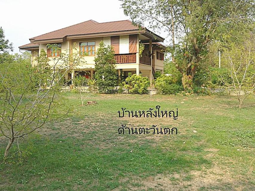 61144 ที่ดินสวนผลไม้ พร้อมบ้าน 2 หลัง เพชรบูรณ์ 1