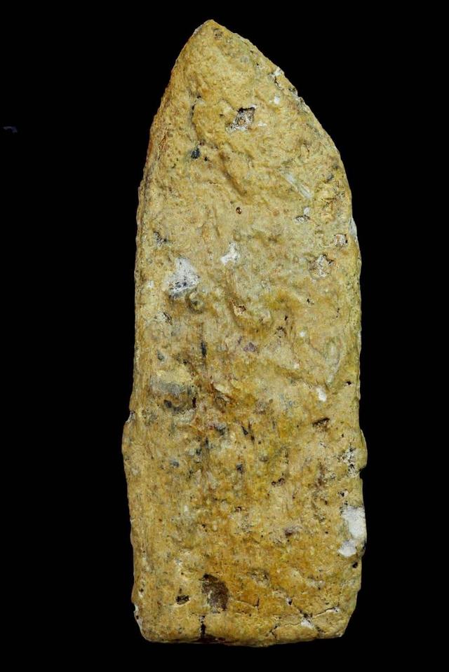 พระพุทธปางลีลาเนื้อว่านหน้าทอง รูปที่ 3