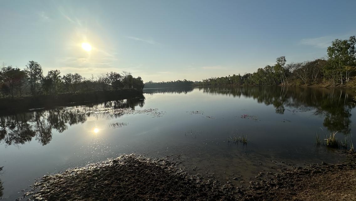 ที่สวยมาก 2ไร่ติดขอบคันอ่างเก็บน้ำลงแม่น้ำมูล ที่ดินหันหน้าหาน้ำ น้ำไฟสะดวก เหมาะทำบ้านสวน รีสอร์ท บ้านหลังเกษียณ หรือทำการเกษตรถนนปูนซ้ายขวาของที่ดิน 9