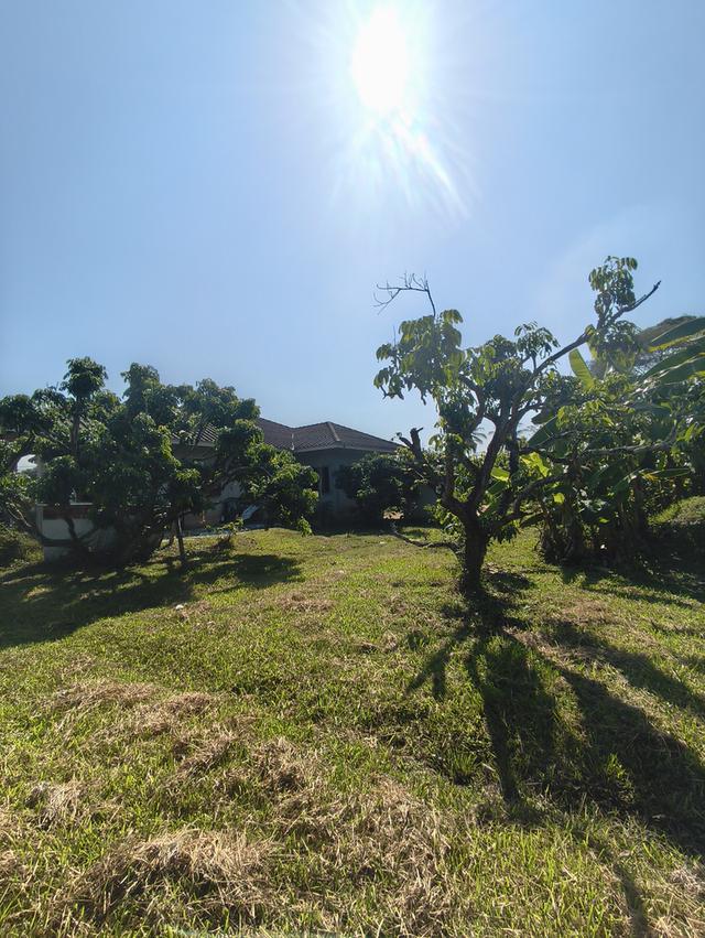 ขายที่ดิน เชียงใหม่ แม่แตง พื้นที่ชุมชน 6