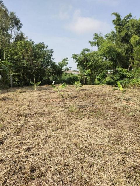 ขายที่ดิน ซอย 3 ต.พานพร้าว อ.ศรีเชียงใหม่ จ.หนองคาย ถนนริมโขง 8