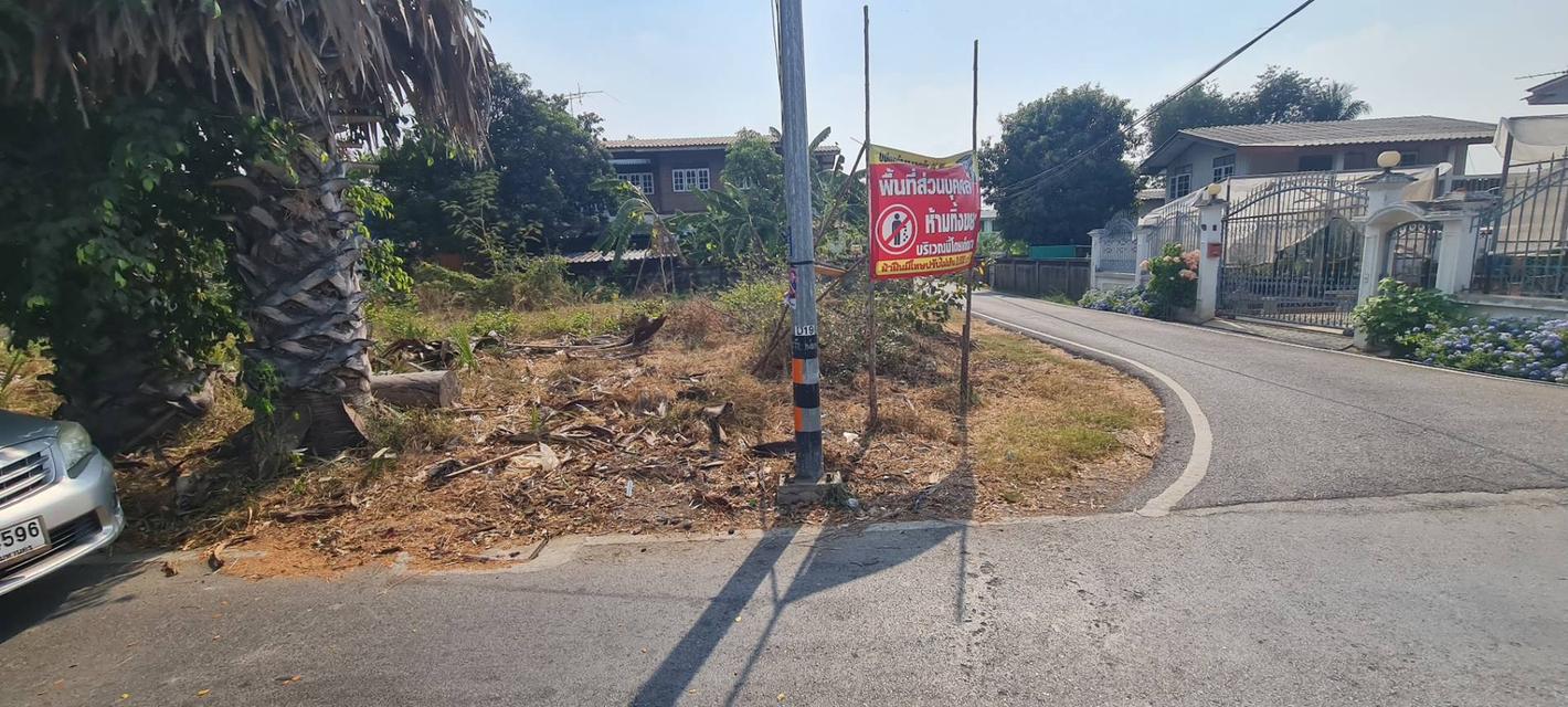 ขายที่ดิน 100 ตารางวา ตำบลท่าวาสุกรี (คลองสระบัว) อำเภอพระนครศรีอยุธยา จังหวัดพระนครศรีอยุธยา 2