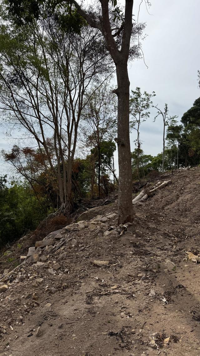 Prime Sunset & Sea View Land for Sale in Koh Samui – A Rare Investment Opportunity! 20