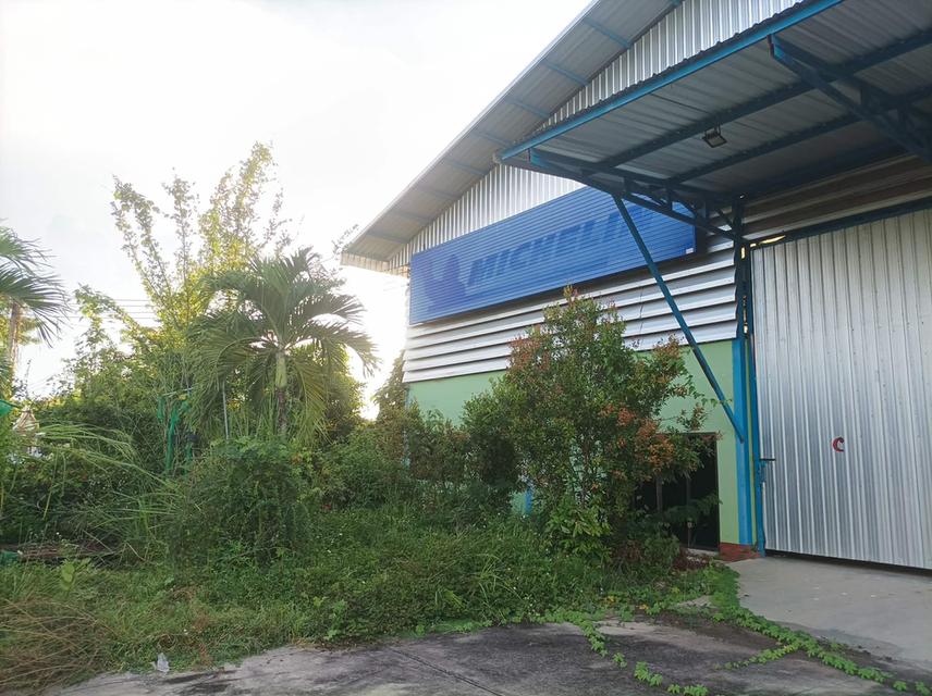 ขายที่ดิน(โรงงานเก่า) ต.แม่คือ อ.ดอยสะเก็ด จ.เชียงใหม่ 15