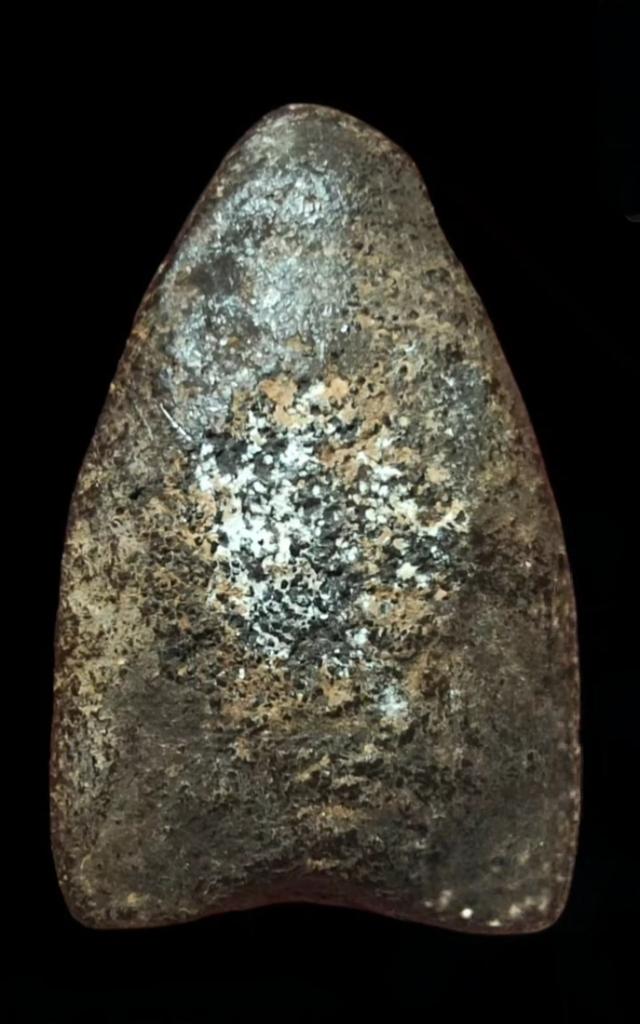 หลวงปู่ทวดวัดช้างให้เนื้อว่าน 2497 2